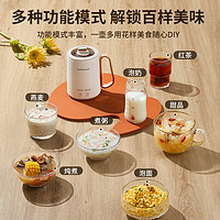 LOCK&LOCK; 乐扣养生壶迷你小型一人家用多功能煮茶器办公室宿舍炖煮杯花茶壶