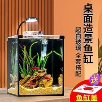 爬将军桌面斗鱼缸免换水超白鱼缸迷你小型家用客厅办公室生态懒人水草缸 30cm缸（带盖+灯）