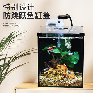 爬将军 桌面斗鱼缸免换水超白鱼缸迷你小型家用客厅办公室生态懒人水草缸 20cm缸（带盖+灯+过滤）