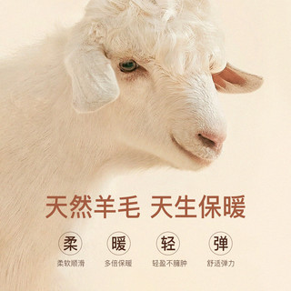 杉杉羊毛加绒衬衫男士秋冬休闲商务牛奶丝复合加厚保暖衬衣开衫上衣 灰兰 170/88A(39)