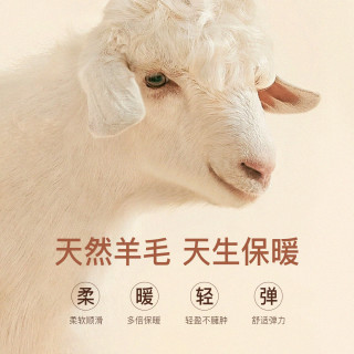 杉杉羊毛加绒衬衫男士秋冬休闲商务牛奶丝复合加厚保暖衬衣开衫上衣 灰兰 170/88A(39)