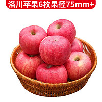 静益乐源 洛川红富士苹果 6枚装果径75mm+