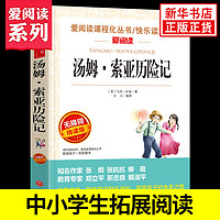 快乐读书吧六年级上下册小课外阅读 鲁宾逊漂流记汤姆索亚历险记尼尔斯骑鹅旅行记童年爱丽丝漫游奇境记小英雄雨来爱的教育 汤姆索亚历险记（定价24.8）