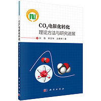 CO2电催化转化：理论方法与研究进展