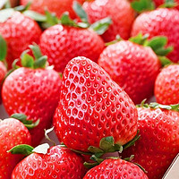太卿大凉山草莓新鲜现摘红颜奶油甜草莓当季时令水果 严选草莓 净重4.5斤