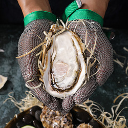 BEISILING 贝司令 鲜活乳山生蚝XL新鲜牡蛎净重4斤16-22只海鲜水产海蛎子