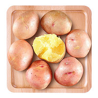 青沃 云南红皮黄心小土豆  5斤装 马铃薯 洋芋 新鲜蔬菜