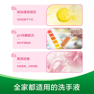 Dettol 滴露 健康洗手液滋润倍护450g*4 宝宝儿童家庭消毒通用 组合装 滋润洗手液450g*4