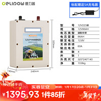 德力普（Delipow）12V/24V鋰電池大容量鋰電瓶戶外照明電源應急車載電源通用逆變器 12V223A型【豪華7件套】