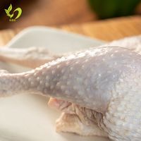 三黄鸡新鲜纯粮散养土鸡肉煲汤非公鸡整鸡现杀活杀笨鸡嫩鸡