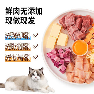 果思萌 宠物狗狗猫咪蛋糕手工自制泰迪金毛柯基宠物零食含头像 4寸鸡肉（含头像）