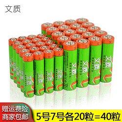 文質 EVERLAST） 碳性電池40粒