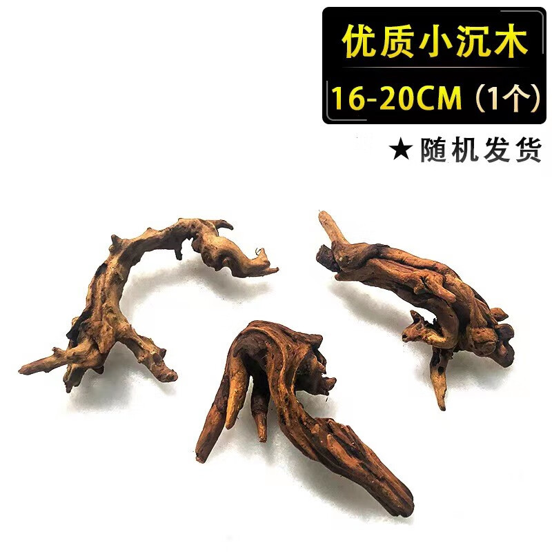 花小鱼鱼缸造景沉木天然紫柚木晒龟台树桩免煮水族箱装饰小号木头 小沉木