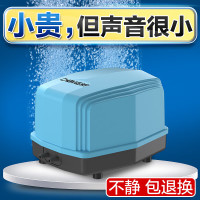 好价汇总：200-20京东神券 宠物超值好价