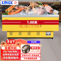 星星(XINGX)750升冷冻玻璃门卧式展示冷柜 商用大容量岛柜 冻货火锅食材海鲜丸子速冻雪柜SD-750BP