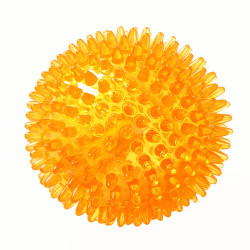 eetoys宜特大号刺球桔色狗狗玩具趣味发声磨牙耐咬洁齿球互动训练宠物