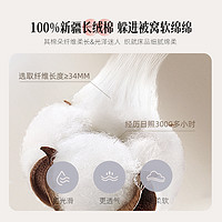 SHEEP 小绵羊 纯棉全棉四件套床单被套可水洗套件学生宿舍100纯棉三件套