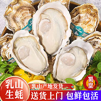 蜀皇 乳山生蚝鲜活特大牡蛎海蛎子带壳生蚝肉贝类海鲜5斤5XL(8-10)只