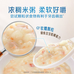 Gerber 嘉宝 营养米粥
