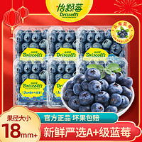 Driscoll's Only the Finest Berries 怡颗莓 当季云南蓝莓 Jumbo超大果国产蓝莓 新鲜水果 Jumbo超大125g*6盒