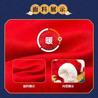 DUDUJIA嘟嘟家【国风新年】宝宝新年衣服冬季男童龙年拜年服女童过年服儿童汉服 新年红 80