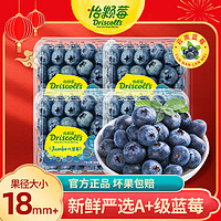 Driscoll's Only the Finest Berries 怡颗莓 当季云南蓝莓 Jumbo超大果国产蓝莓 125g*4盒