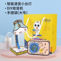 探梦科学实验智能语音台灯儿童科技手工小制作小发明小steam玩具 智能语音小台灯+收音机+袋