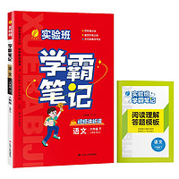 实验班学霸笔记 小学语文六年级下册 人教版RMJY 教材同步知识点解读解析课堂笔记 2024年春 24春六年级下册 学霸笔记语文人教