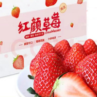 风之郁 草莓红颜99奶油 5斤彩盒装/单果15-20g