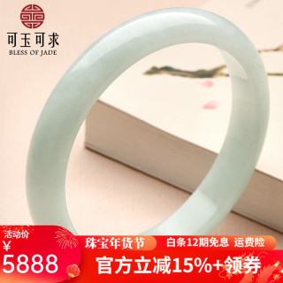 可玉可求新年礼物 孤品翡翠手镯女 冰底淡绿色玉手镯 正装玉石玉镯 【 约63毫米】C5106x
