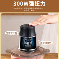 绞肉机家用电动小型打肉馅搅搅碎菜绞馅拌饺破壁Q2
