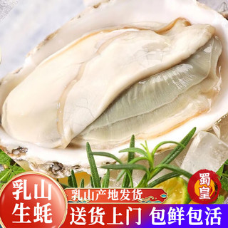 蜀皇乳山生蚝鲜活特大牡蛎海蛎子带壳生蚝肉贝类海鲜5斤5XL(8-10)只