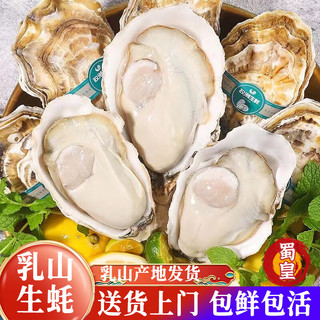 蜀皇乳山生蚝鲜活特大牡蛎海蛎子带壳生蚝肉贝类海鲜5斤5XL(8-10)只