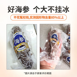 参王朝 王朝 大连即食海参500g 固形物85%以上 7-10头底播辽刺参年货简装