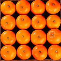 IOSN广西沃柑9斤装新鲜桔子黄金皮小孩水果当季柑橘子 特选广西沃柑 净重8.5斤34个左右 净重8.5斤大果65mm-75mm