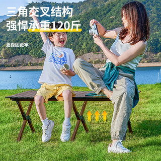 TANXIANZHE探险者 户外折叠桌碳钢蛋卷桌露营桌子野餐桌椅便携式露营野炊装备 中号蛋卷桌3-5人款