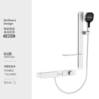 鼎菲鼎菲无顶喷淋浴花洒套装恒温冷热按键式明装置物台升降淋浴器卫浴 恒温哑白（配置物升降架）