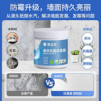 CARPOLY 嘉宝莉 补墙膏防霉耐水墙面修补膏大白腻子内墙翻新钉眼裂缝掉皮修复1kg