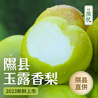 隰县玉露香梨 香梨 新鲜水果 水果礼盒 生鲜特产  9粒家庭装75-80果