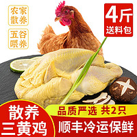 岽鲜 农家散养土鸡 三黄鸡 新鲜整只走地鸡柴鸡 鸡肉生鲜 2kg 共发2只 每只2斤