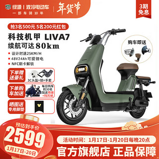 LUYUAN 绿源 电动车LIVA7豪华版新国标48V24Ah可提锂电轻便代步电动自行车 岩绿