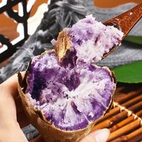 三十九度献鲜 冰淇淋番薯一点红紫心红薯9斤中果 新鲜花心板栗红薯地瓜 生鲜