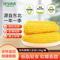 珍谷诱惑 东北当季有机香糯玉米1.6kg 8支