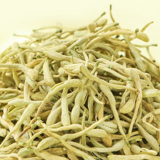 同仁堂 金银花茶50g