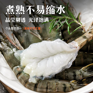 京鲜港 泰国活冻黑虎虾 （加大号）43-49只/盒 家庭聚餐 年货送礼