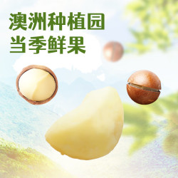 沃隆 夏威夷果仁500g