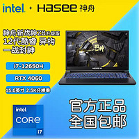 百亿补贴：Hasee 神舟 新战神Z8D62.5K酷睿i7+RTX4060电竞游戏本