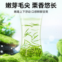 贡苑 茶叶绿茶特级信阳毛尖2023新茶高山嫩芽明前中秋伴手好礼