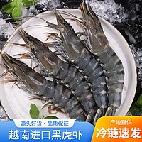 时茂 老虎虾 超大 新鲜  黑虎虾（8头）800g*1盒 18-20cm