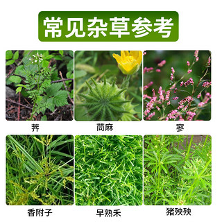 农仔新安75.7%草甘膦铵盐强力除草剂除草烂根剂果园机场铁路粉剂